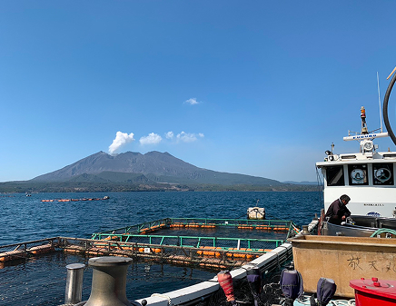 鹿児島水産株式会社
